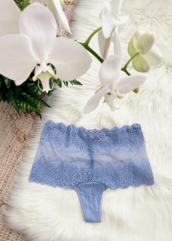 only hearts lace panties in periwinkle
