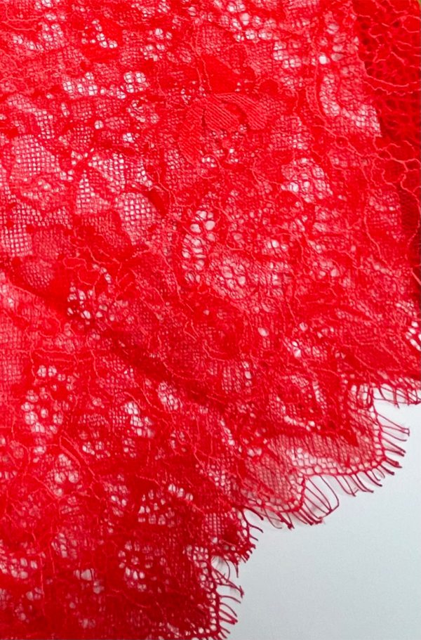 Kilo Brava Eyelash Lace Teddy in Red - Image 7