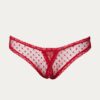 only hearts coucou lola culotte brief in sacred heart red lace
