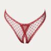 only hearts coucou lola culotte brief in sacred heart red lace
