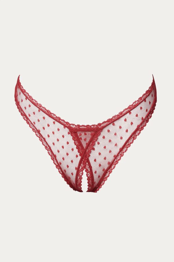 only hearts coucou lola culotte brief in sacred heart red lace